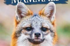A Guide to Missouri's Common Mammals