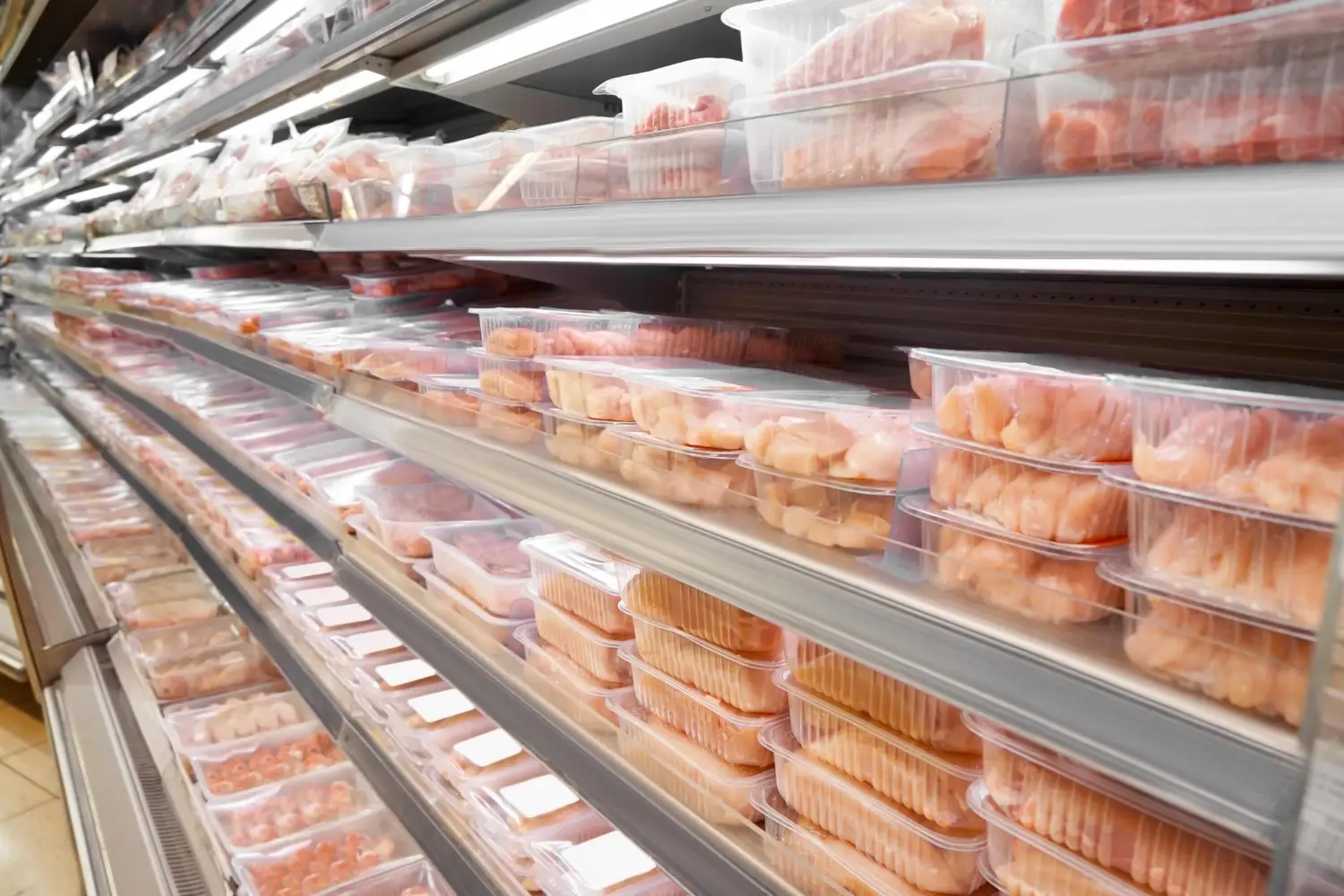 Cold Storage & Freezer Labels